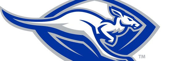 Roohoops Profile Banner