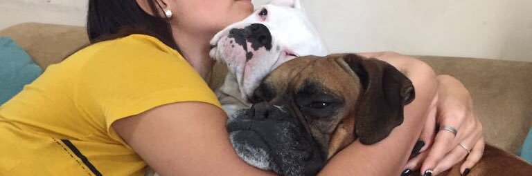 beluzanello's profile banner image