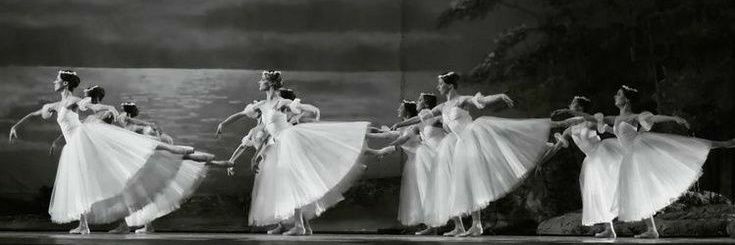 ballet archive📁's banner