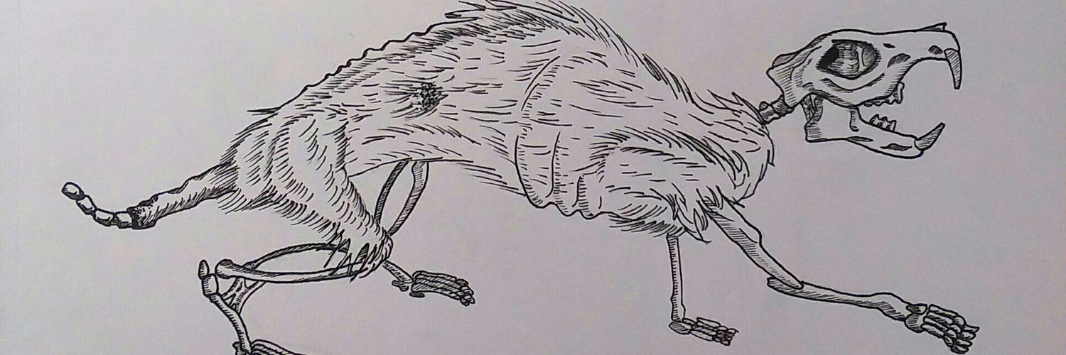 LoganCMann2's profile banner image