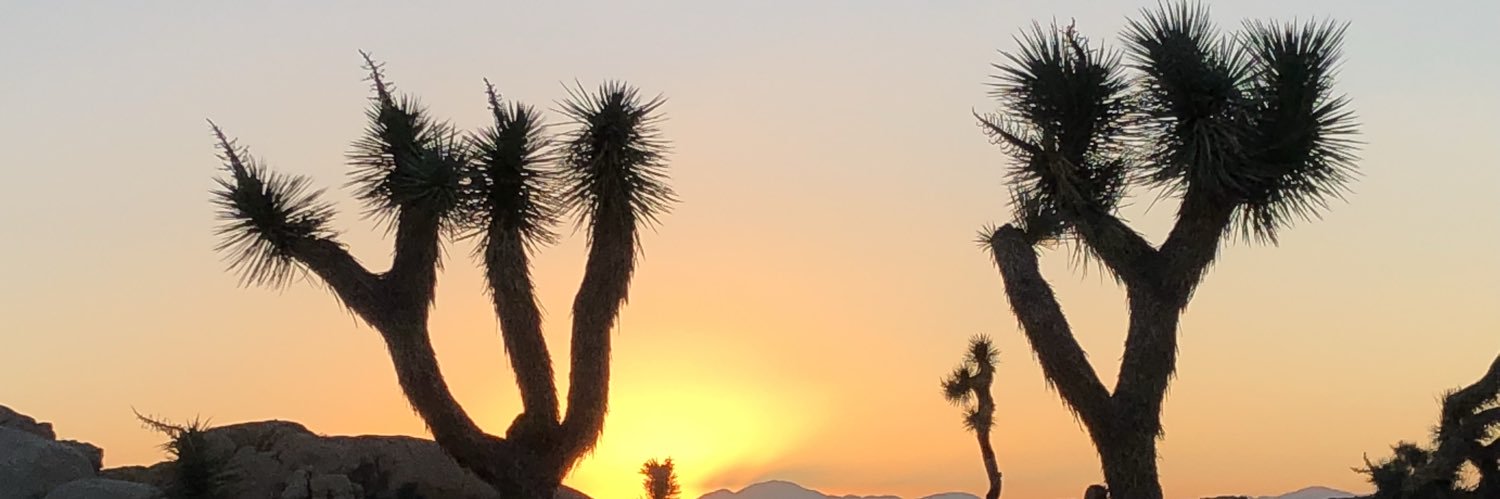 Mark Lüntzel Ⓥ banner