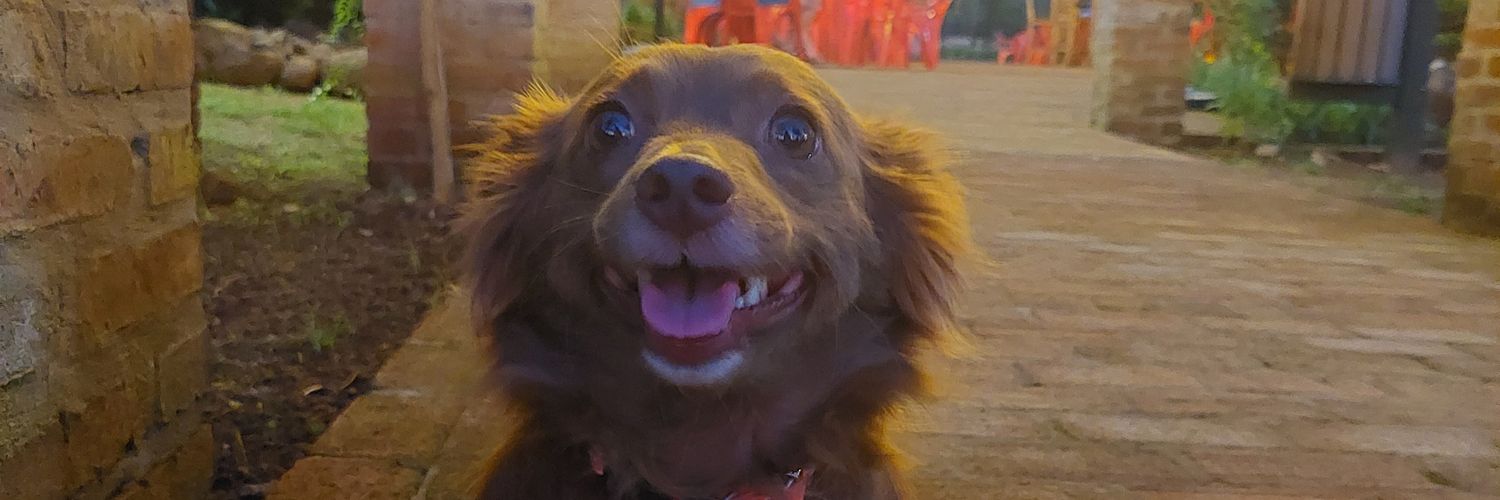 DjuliaCaroline's profile banner image