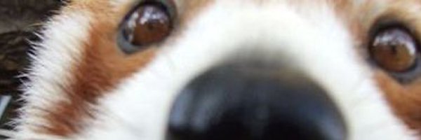 Mr_SamPNess Profile Banner