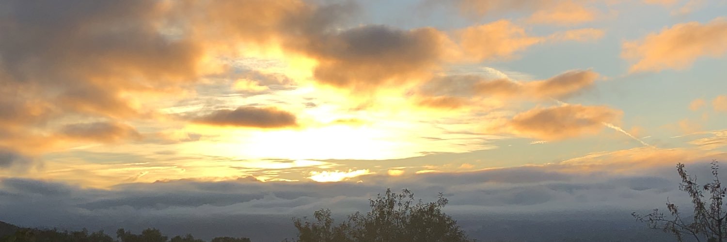 fetch4treats's profile banner image
