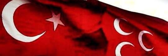 msceritli's profile banner image