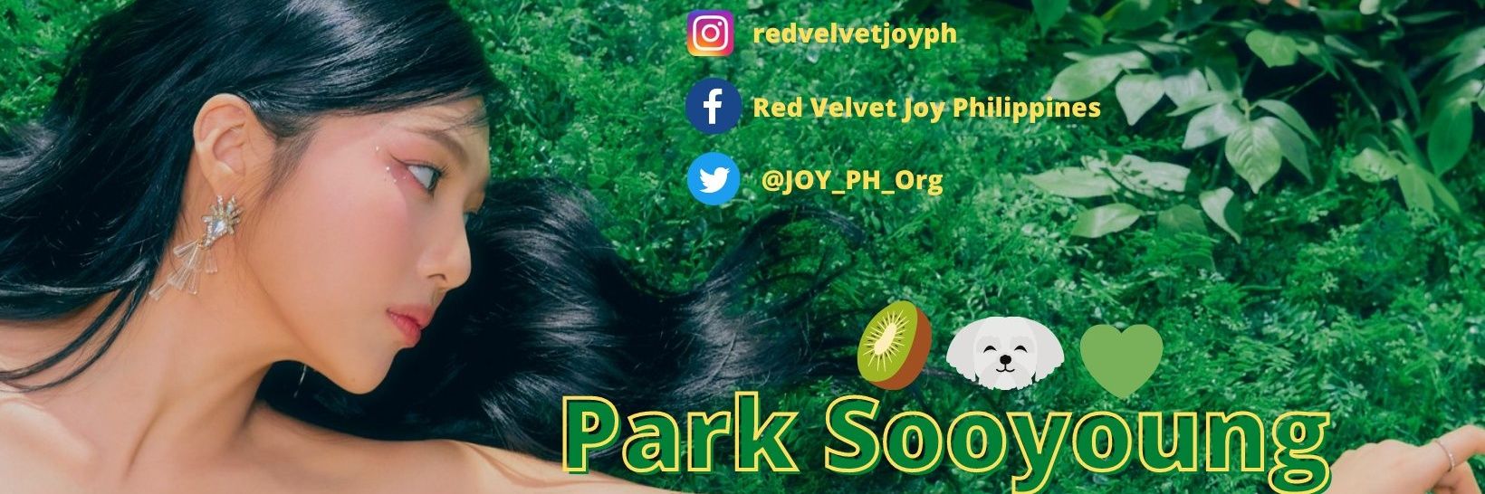 RED VELVET JOY PHILIPPINES banner