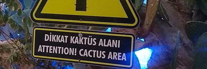 benhatcik's profile banner image