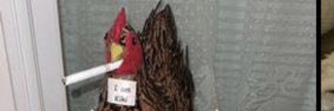 dford1019's profile banner image
