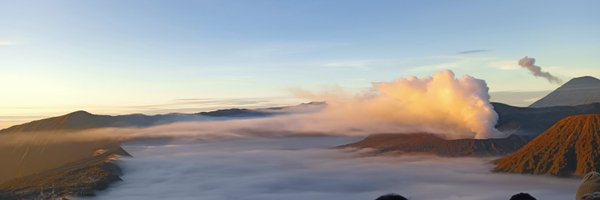 MSHMFR02 Profile Banner