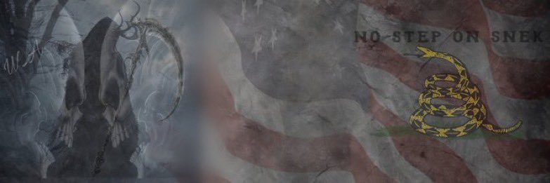 Darth Woodchipper 🏴‍☠️'s banner