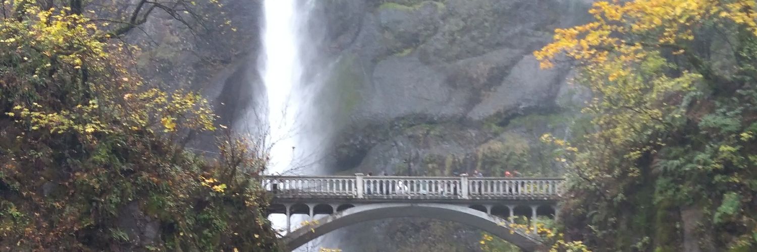 mdnghtxprss's profile banner image