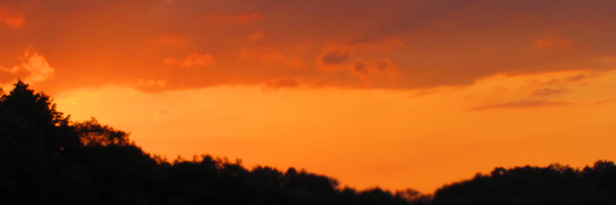 BarNERV's profile banner image