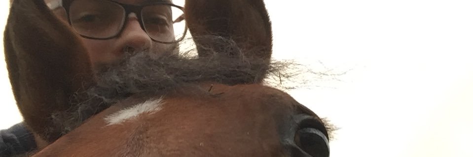 AJHorr95's profile banner image
