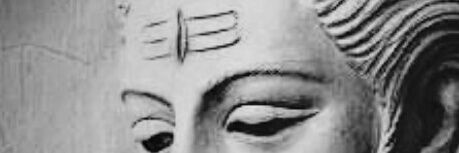 snehricky's profile banner image