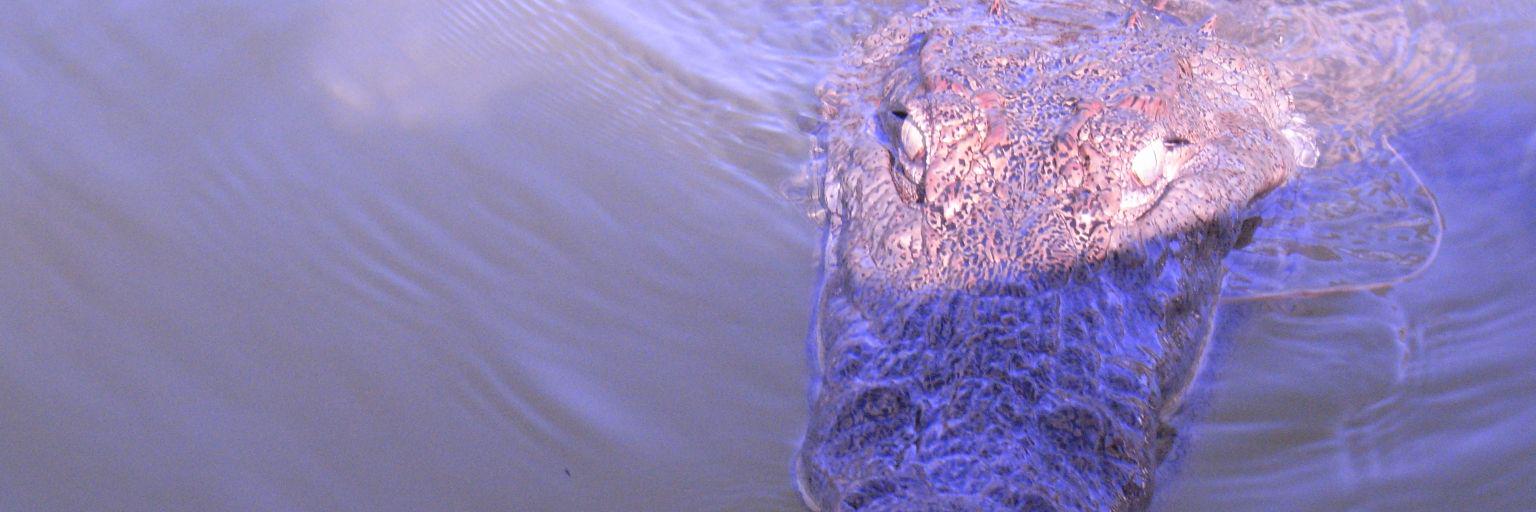 mrguigsy's profile banner image