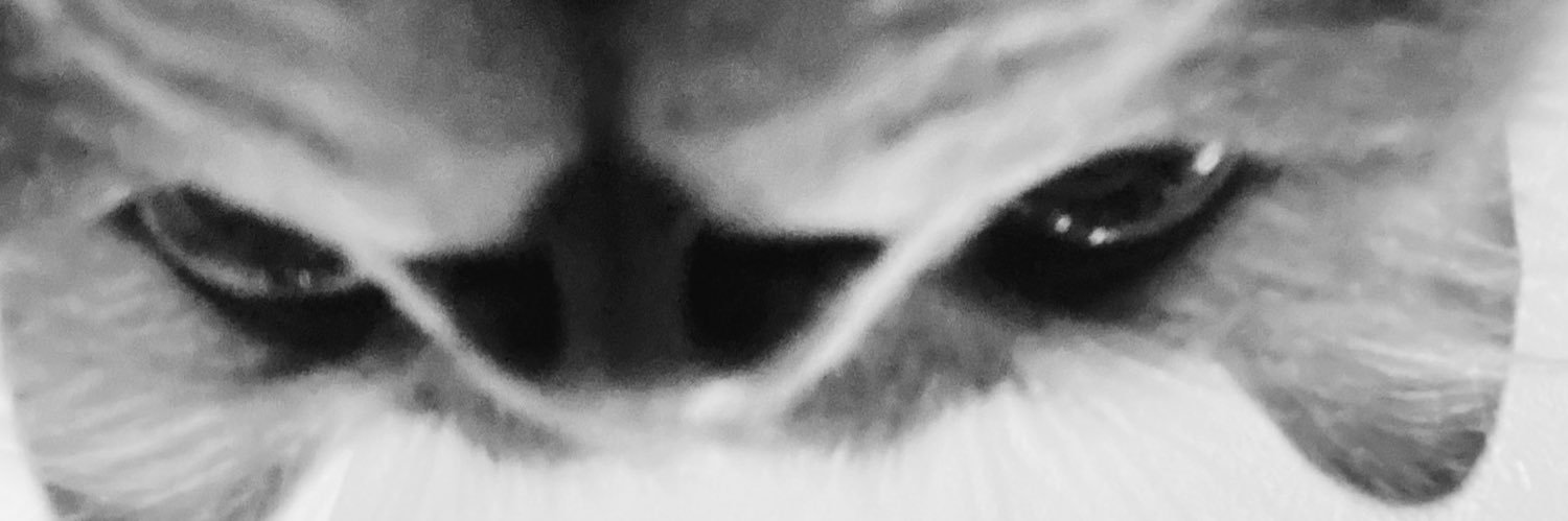 FeliG17's profile banner image
