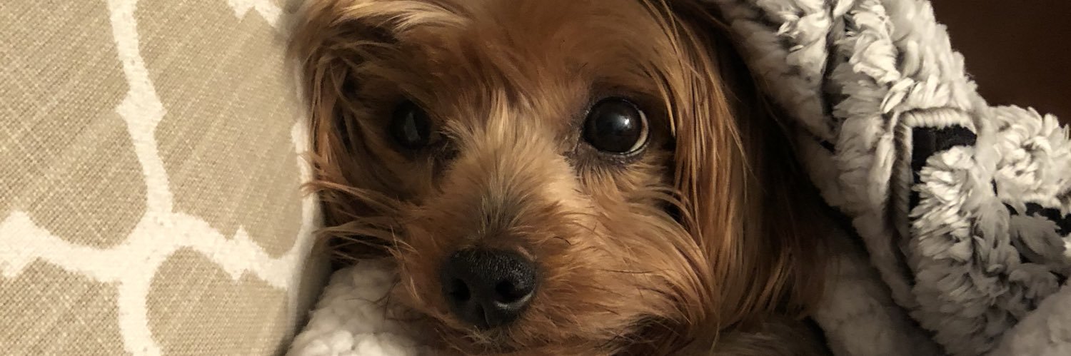 michhhd's profile banner image