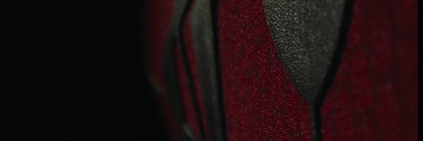 Web_Swinging Profile Banner