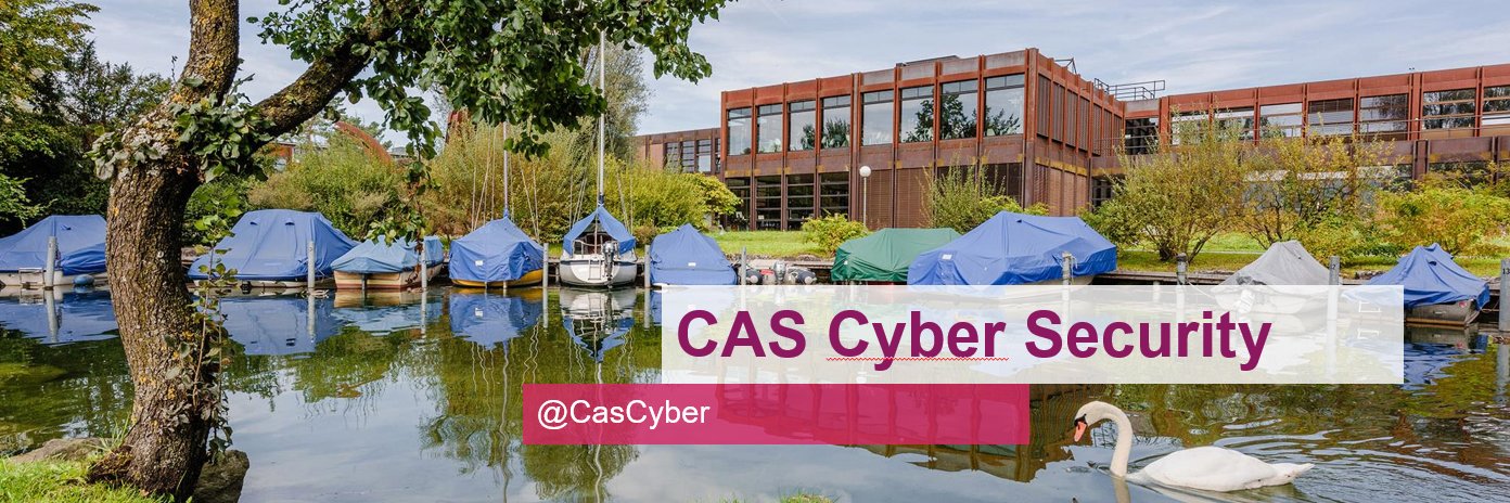 cas-cyber-security banner