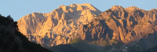 altuvia's profile banner image