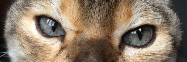 AlexElizabethhx's profile banner image