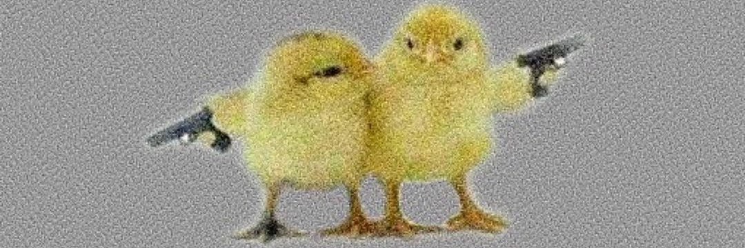 fatmaftmasln's profile banner image