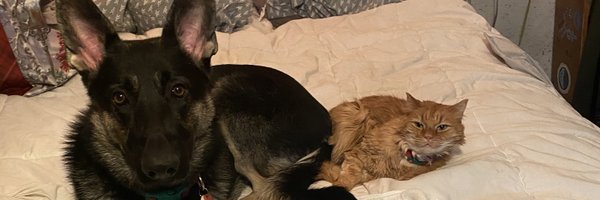 kirshk Profile Banner