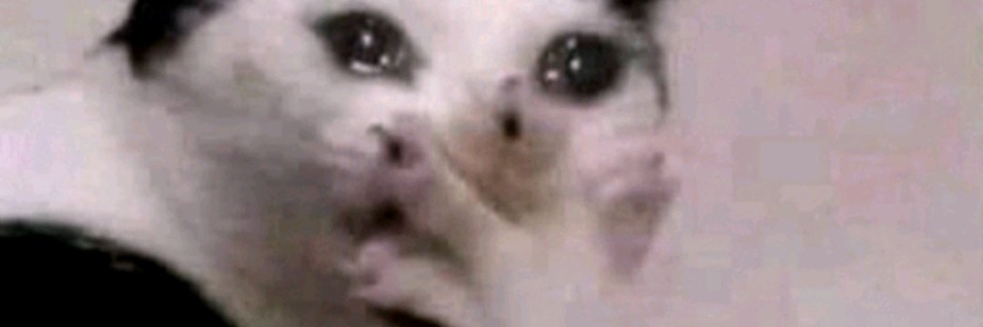mefill_y's profile banner image