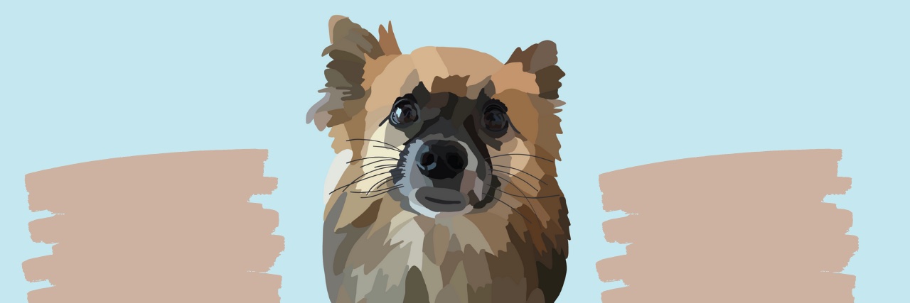 Allyson1301's profile banner image