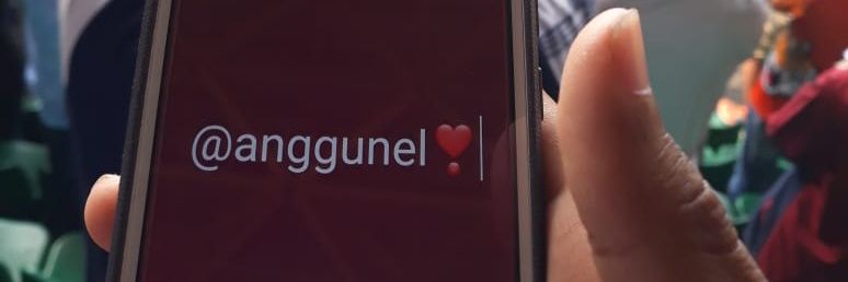 anggnelv banner