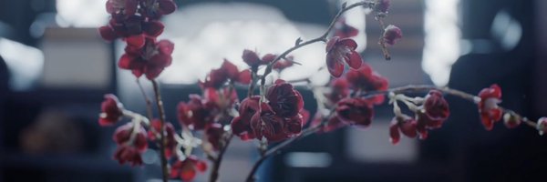cuntstitution Profile Banner