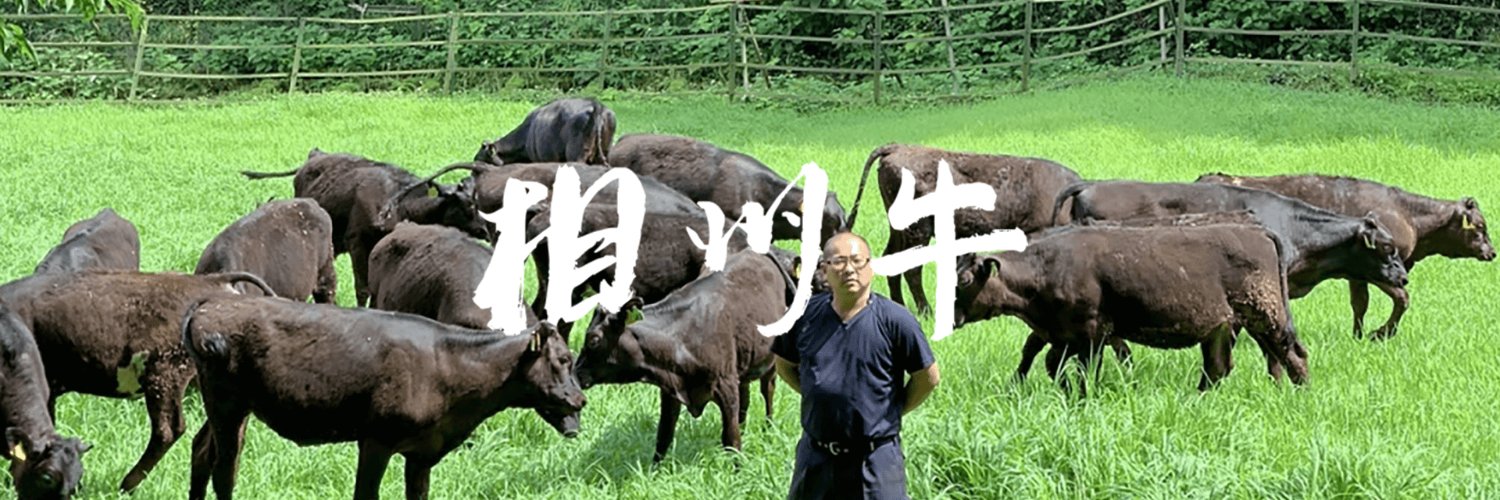 soshugyu's profile banner image