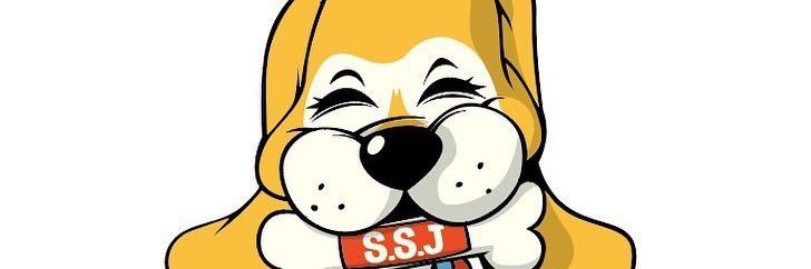 saori_ssj's profile banner image