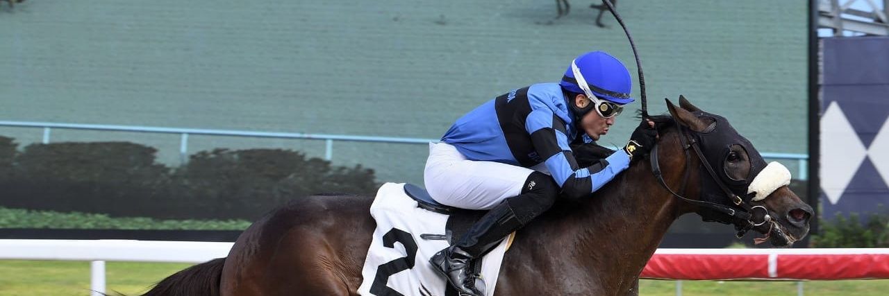 𝑪𝒊𝒑𝒓𝒊𝒂𝒏𝒐 𝑮𝒊𝒍 banner