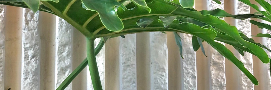andresitocampo's profile banner image