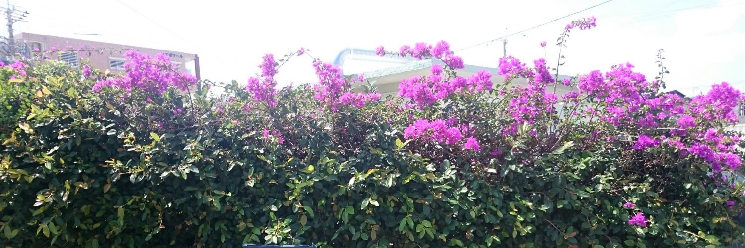 kinemi83's profile banner image