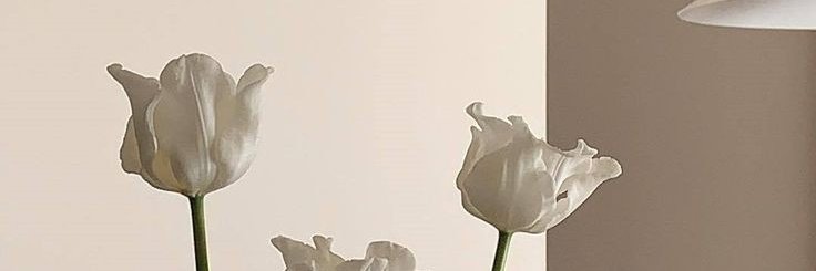⚡ banner