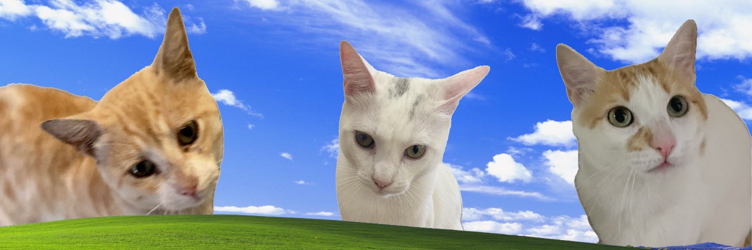 benodeu5's profile banner image