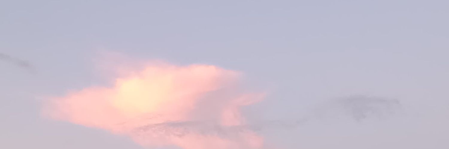 vsk2x's profile banner image
