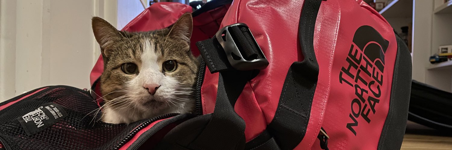 Federico Moro banner