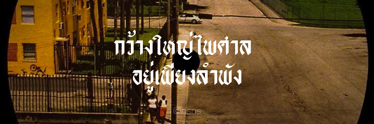 ns banner