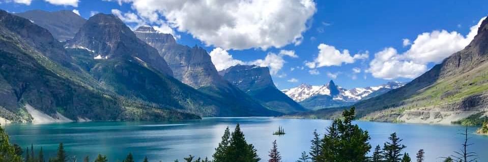 Olivia Colbert banner