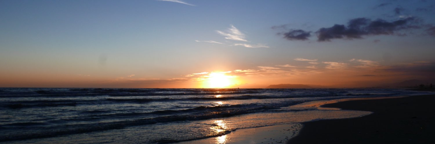 Євген Шевченко banner