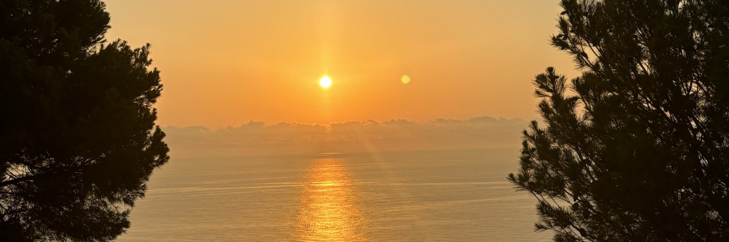 itzidona's profile banner image