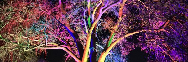 UoP_CIDD Profile Banner