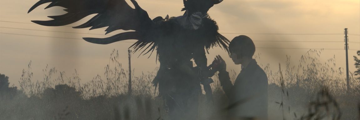romailee's profile banner image