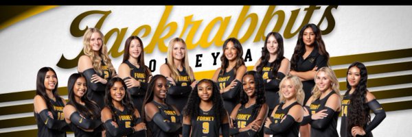 ForneyVolleyba1 Profile Banner