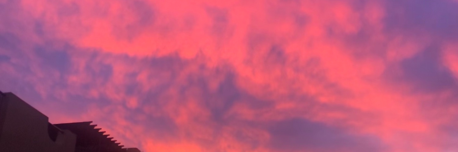 FgLidii's profile banner image