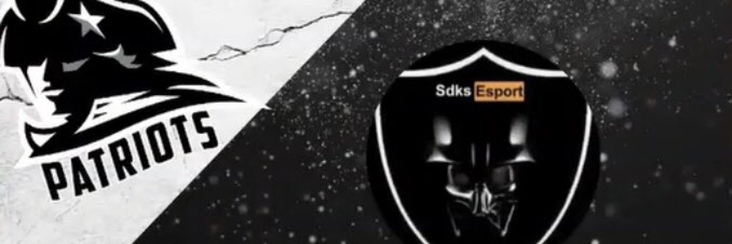 sdks Patriots esport Profile Banner