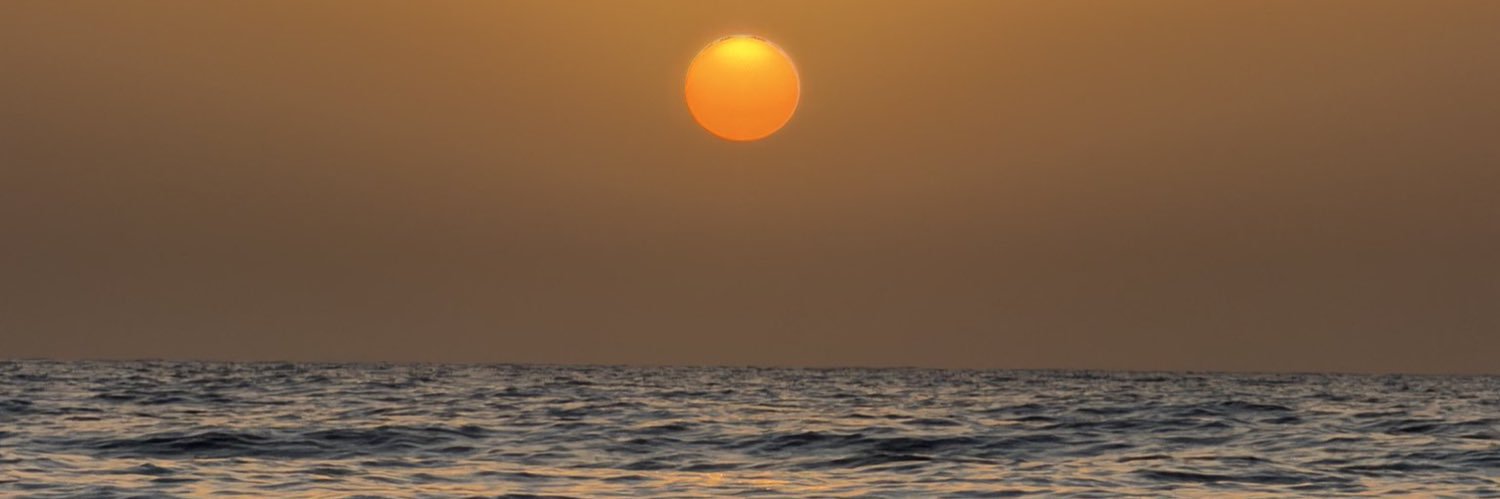 W. banner